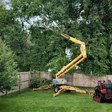 Mulching Services in Morongo Valley, CA